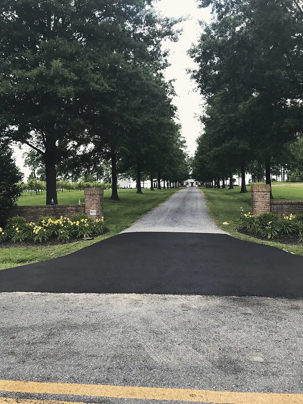 A tree-lined private drive