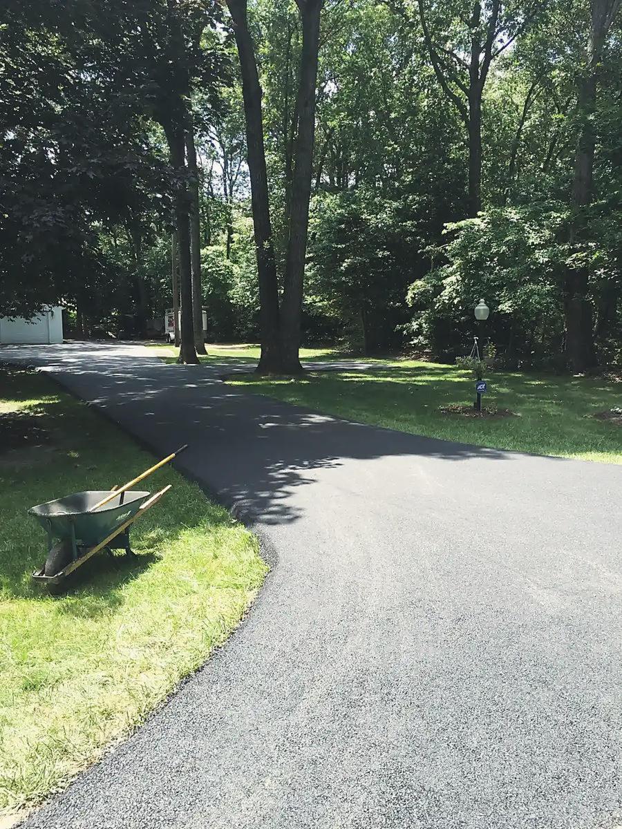 Curved drive under old trees