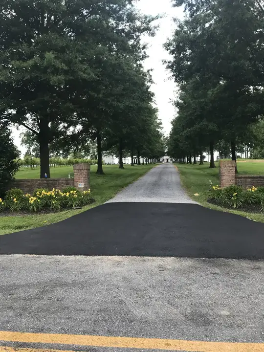 Driveway Paving Tree Lined Private Drive Federalsburg Md